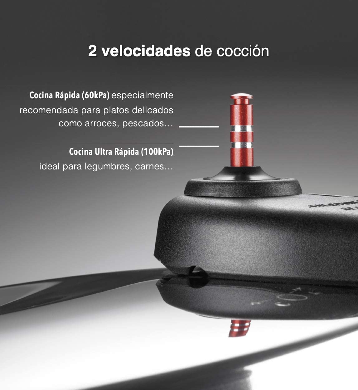 TARTERA roja fagor optimax