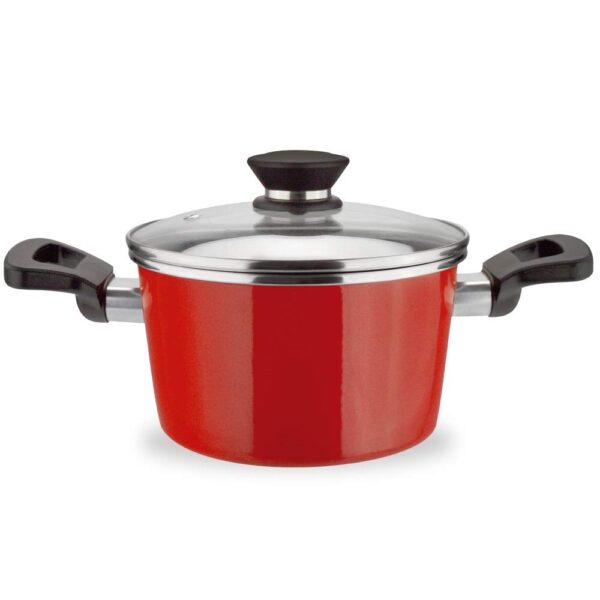 VITREX Olla Marseille. Olla Antiadherente Doble Capa, Acero vitrificado, Compatible con Todo Tipo de Fuego, Incluido inducción.