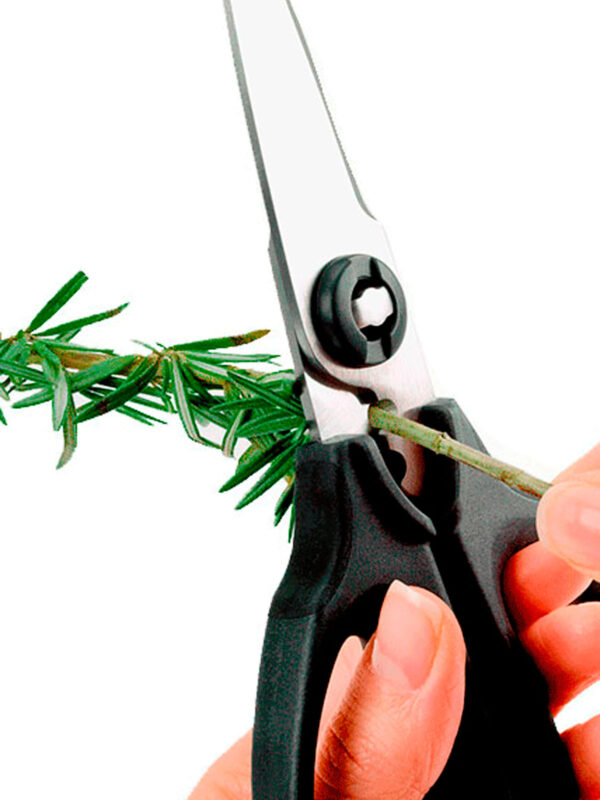 Ox1072121 Tijeras 2 Comprar Tienda Online Menaje Hogar Utensilios Cocina Menajeando 7